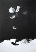 Tiina Kivinen: The Undresser		