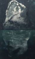 Sari Bremer: Phantoms of the Deep		
