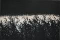 Janne Laine: Nocture II		