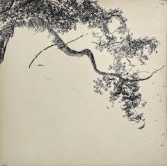 Tiina Kivinen: Poems