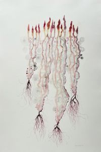 Tiina Vainio: Toscanan rikkaruohot I