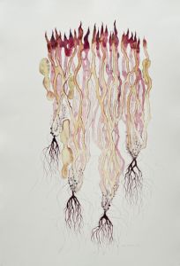 Tiina Vainio: Toscanan rikkaruohot III