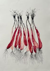 Tiina Vainio: Toscanan rikkaruohot VIII