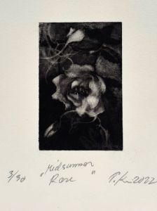 Tiina Kivinen: Midsummer Rose