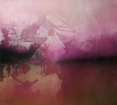 Jani Tolin: Voluntary Confrontation of the Terrible Unknown