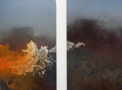 Jani Tolin: Lichen Up